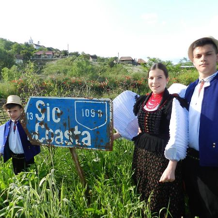 Csipkeszeg Bed & Breakfast Sic / Szek Romania 外观 照片