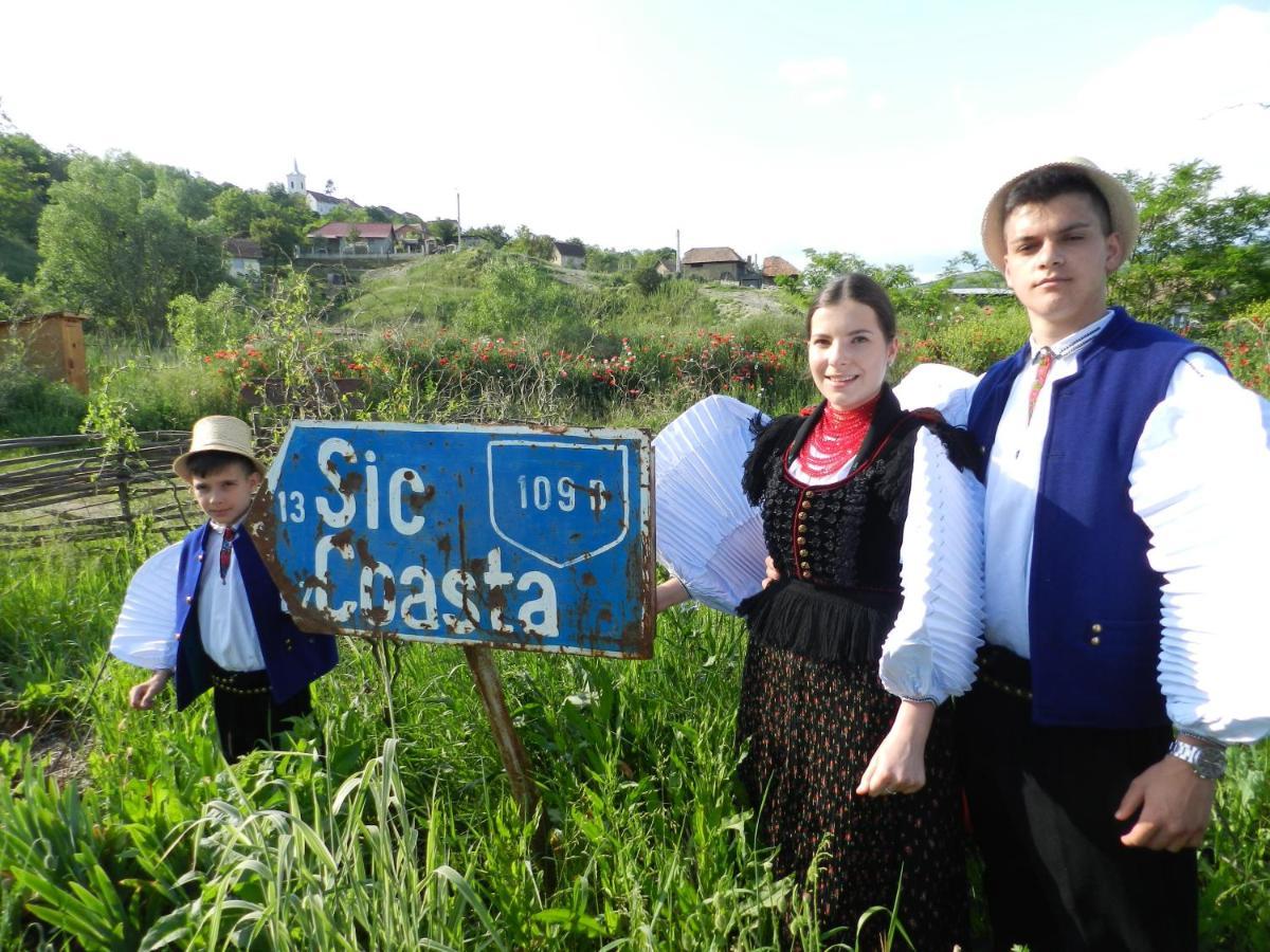Csipkeszeg Bed & Breakfast Sic / Szek Romania 外观 照片