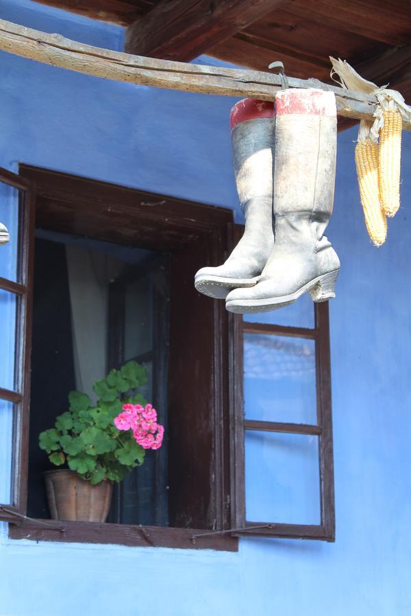 Csipkeszeg Bed & Breakfast Sic / Szek Romania 外观 照片
