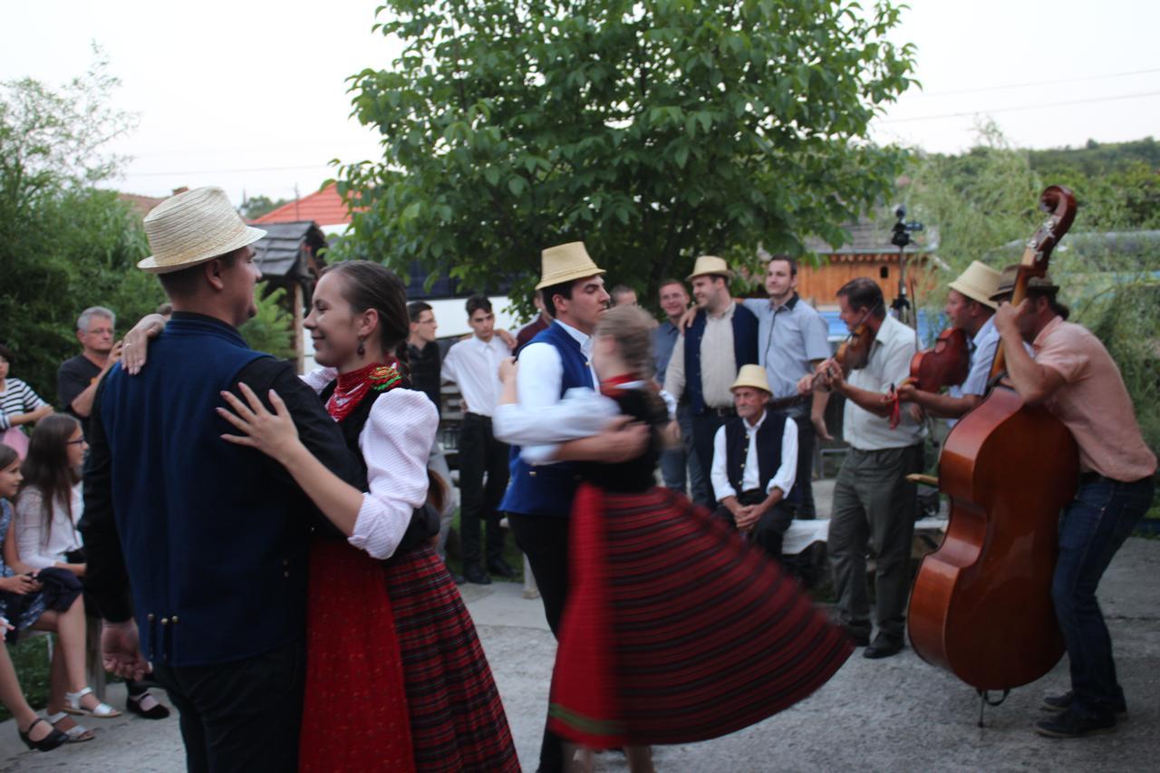 Csipkeszeg Bed & Breakfast Sic / Szek Romania 外观 照片