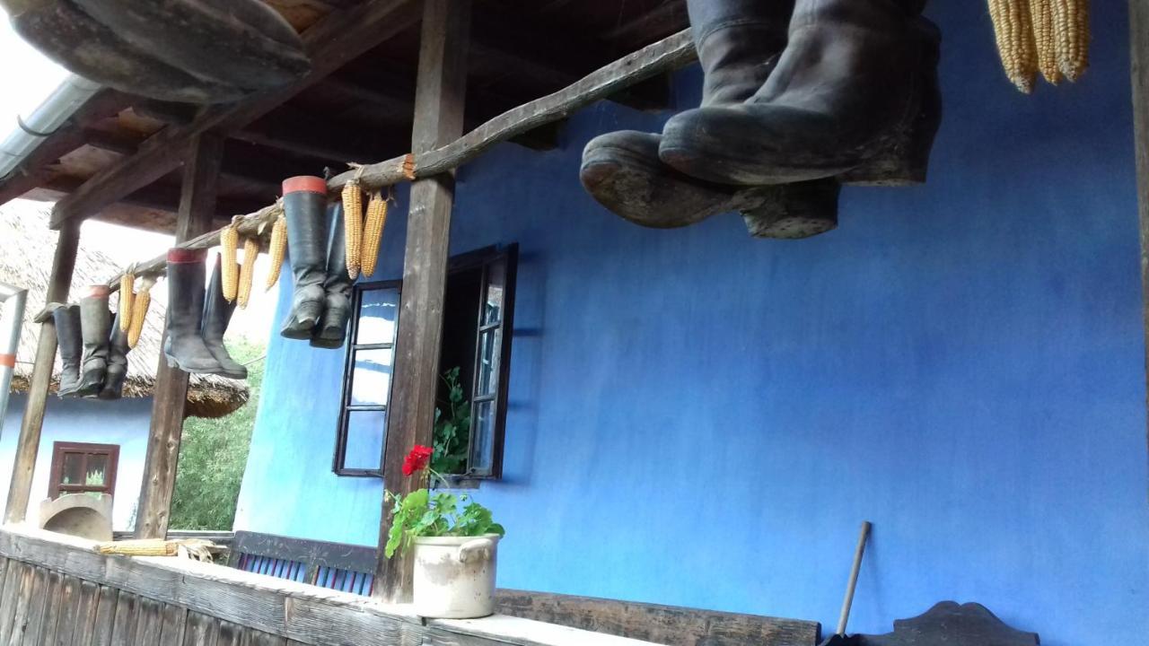 Csipkeszeg Bed & Breakfast Sic / Szek Romania 外观 照片